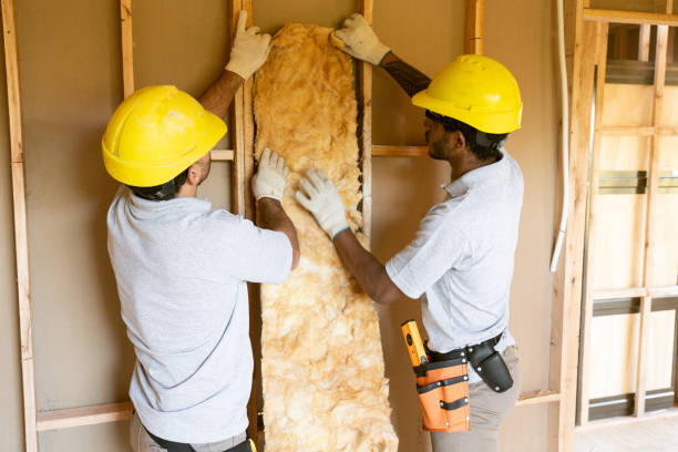 Best Best Insulation Companies  in Bluefield, WV